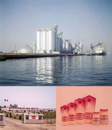 Check spelling or type a new query. A Timeline of Our History | History | About us | Ajinomoto ...