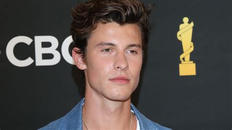 Shawn Mendes Deswegen unterbricht der Sänger seine World Tour GLAMOUR