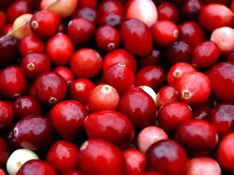 Cranberry Juice Is Not Effective Against Cystitis Say Scientists The Independent The