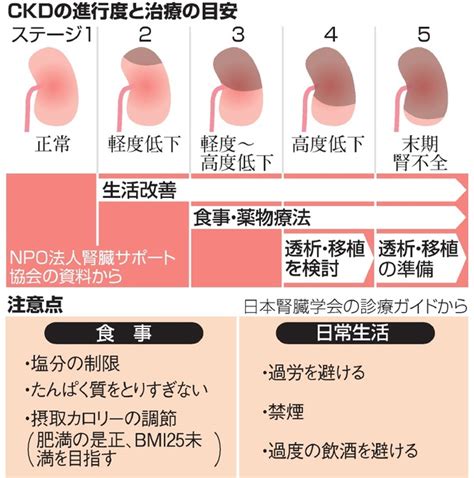 慢性腎臓病、生活改善で悪化を防ごう：朝日新聞デジタル