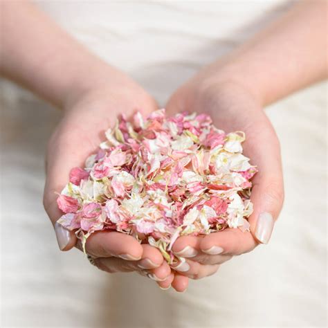 50 Handfuls Of Biodegradable Wedding Confetti By Shropshire Petals