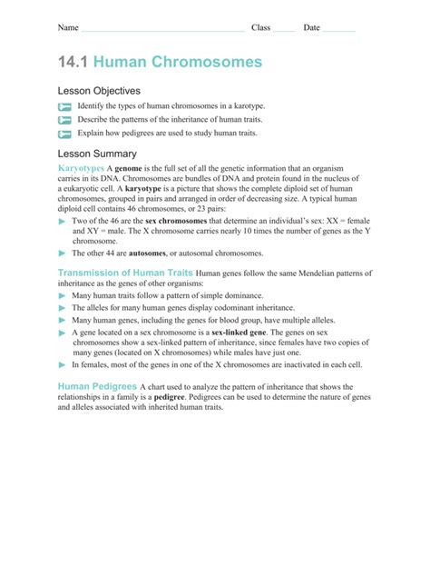 Name class date 14.1 human chromosomes lesson objectives identify the types of human chromosomes in a karotype. 14.1 Human Chromosomes Pdf Answers / 2 - irobot110dirtdog