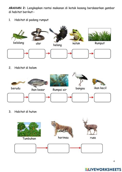 m21 tahun 5 sains rantai makanan online exercise for live worksheets