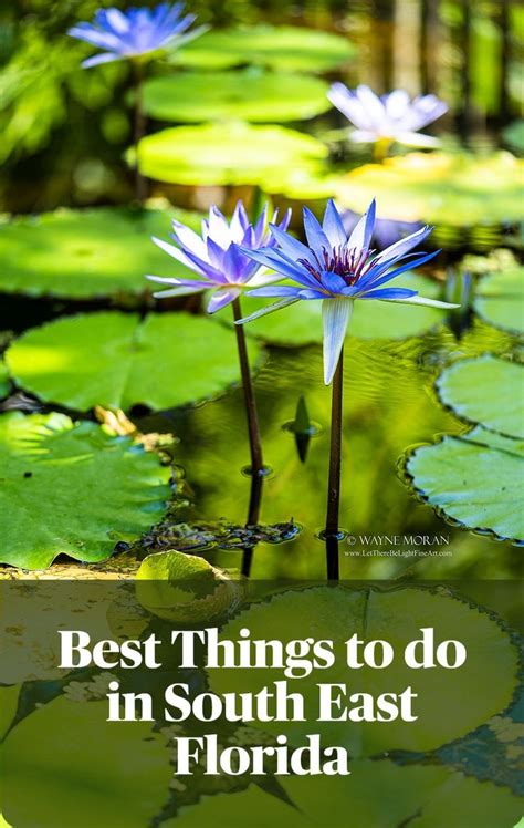 mckee botanical garden vero beach the 7 best things to do in south east florida florida keys