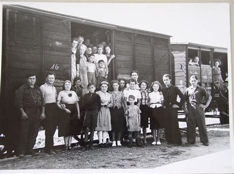 1939 1940 Evacuation Drôle De Guerre Et Effondrement De Mai Juin