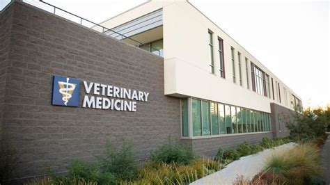 Uc Davis School Of Veterinary Medicine Removes Gre Requirement School