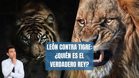 León Contra Tigre ¿quién Es El Verdadero Rey Facts In Spanish Youtube