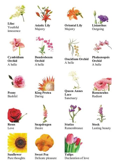 Flowers And Plants Vocabulary In English Different Types Of Flowers