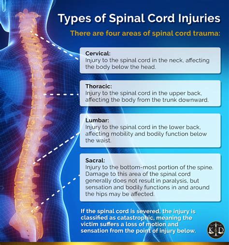 Different Types Of Spinal Cord Injuries