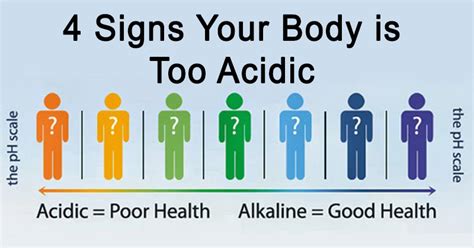 4 Signs Your Body Is Too Acidic And How To Fix It David Avocado Wolfe