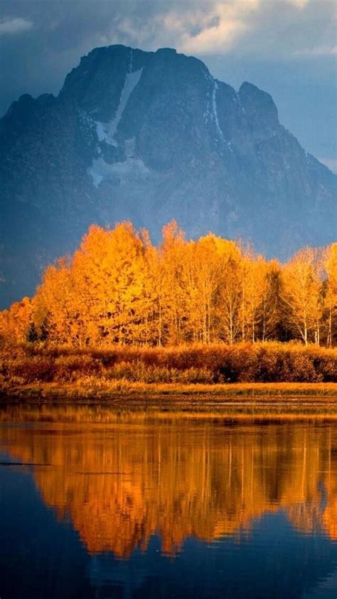 640x1136 Autumn Trees On Lake Iphone 55c5sse Ipod Touch Hd 4k