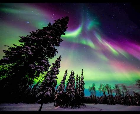 Northern Lights Create Beautiful Sky Show For Thousands