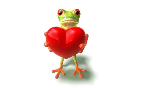 Cute frog wallpaper, wallpaper, cute frog wallpaper hd wallpaper. Cartoon Frog Wallpapers - Wallpaper Cave