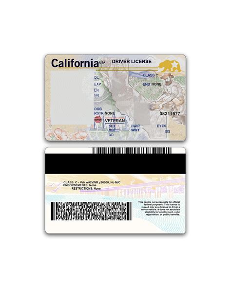 Editable New California Blank Driver License Template 16655838 Stock