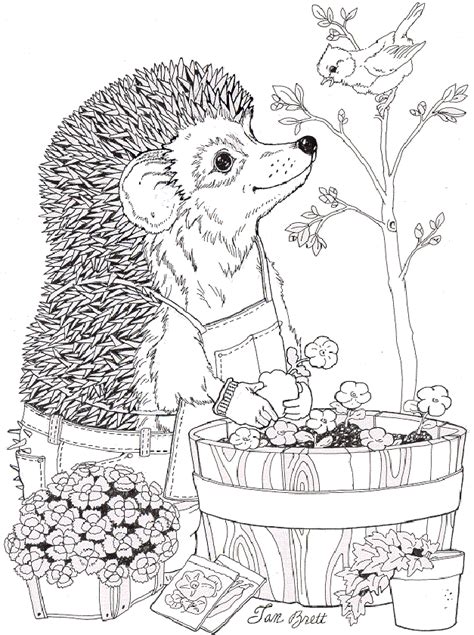 Jan Brett Coloring Pages For Free Coloring Games Online