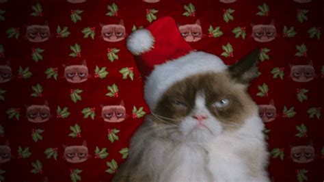 Grumpy Cat From Grumpy Cats Worst Christmas Ever The 10 Best Cats In