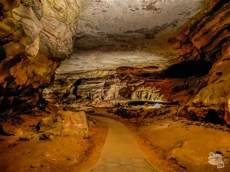 Planning A Visit To Mammoth Cave National Park Our Wander Filled Life