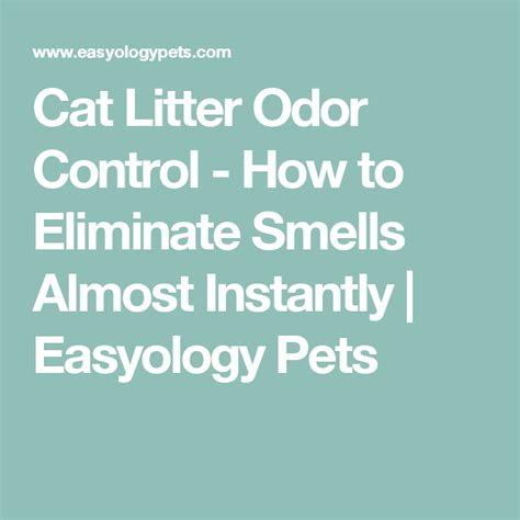 Get best odor control litter box. Cat Litter Odor Control - How to Eliminate Smells Almost ...