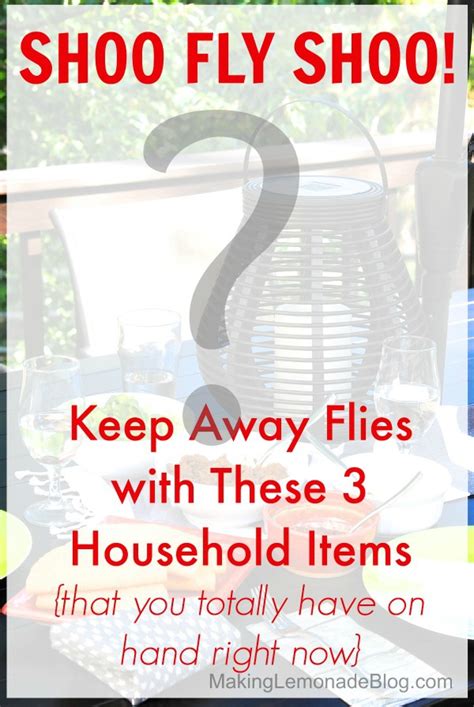 how to keep flies away with 3 things you have at home making lemonade