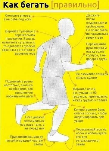 Как правильно начать бегать чтобы похудеть