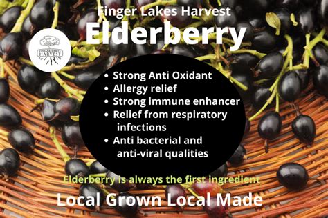 Elderberry Tonic Finger Lakes Harvest