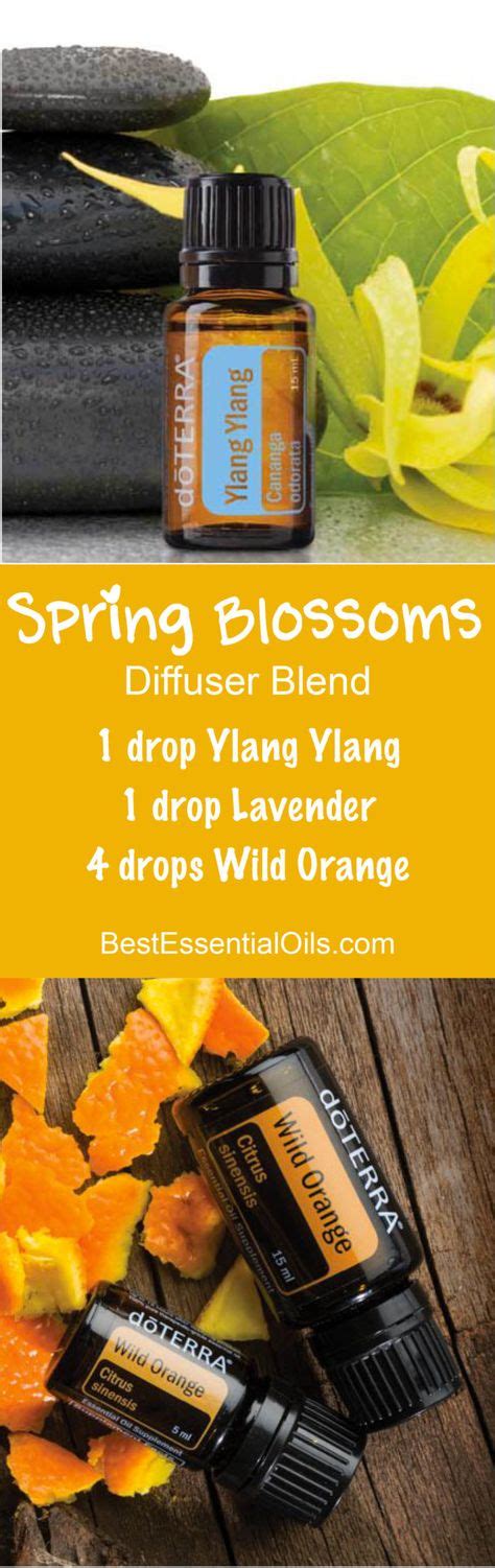 Doterra Spring Diffuser Blends With Essential Oils Best Essential