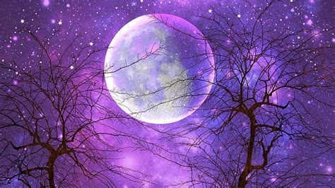 Hd Wallpaper Artistic Moon Purple Sky Starry Sky Tree Wallpaper