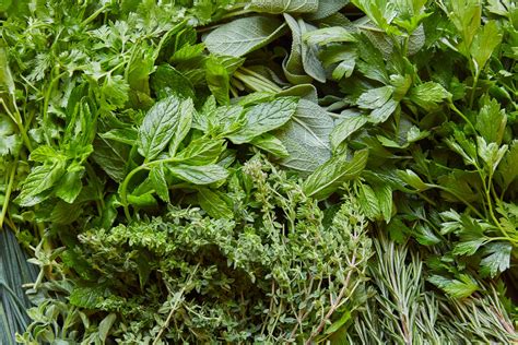 How To Use Up Fresh Herbs Saveur