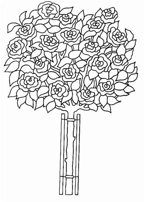 coloriage rose 18  Coloriage en ligne gratuit pour enfant