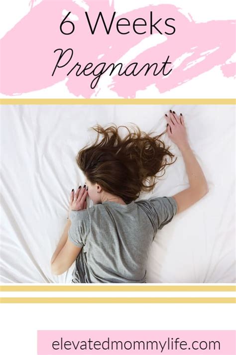 6 Weeks Pregnant Elevated Mommy Life