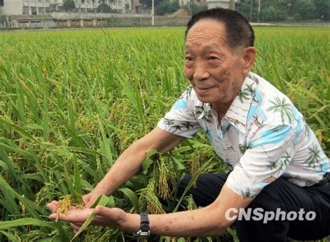 Yuan longping is an educator, agricultural scientist, and the director general of the national hybrid rice research and development center in china. Yuan Longping expects 6.6 million hectares of saltwater ...