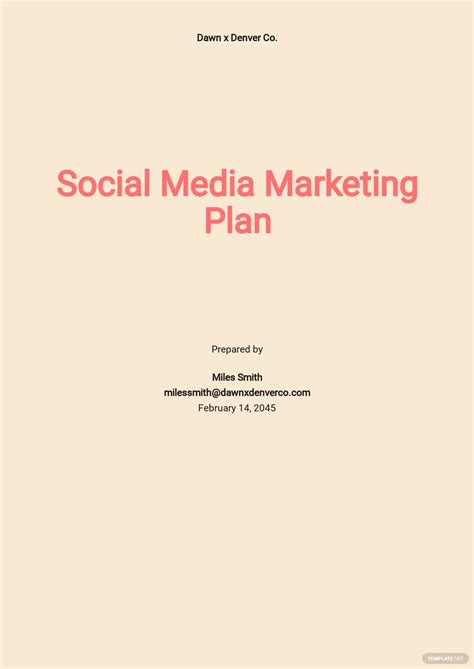 Free Social Media Marketing Plan Pdf Templates 28 Download