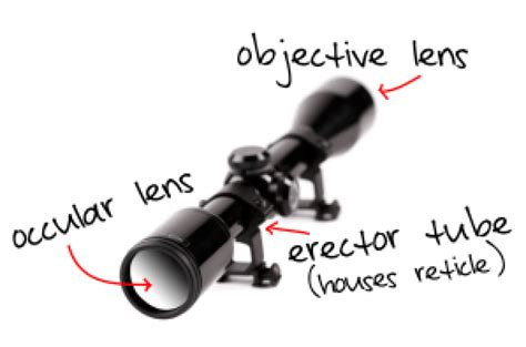 Rifle Scope Objective Lens Diameter Guide Choose The Best Size