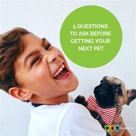 5 Questions To Ask Before Getting Your Next Pet Pets Dog Care Tips