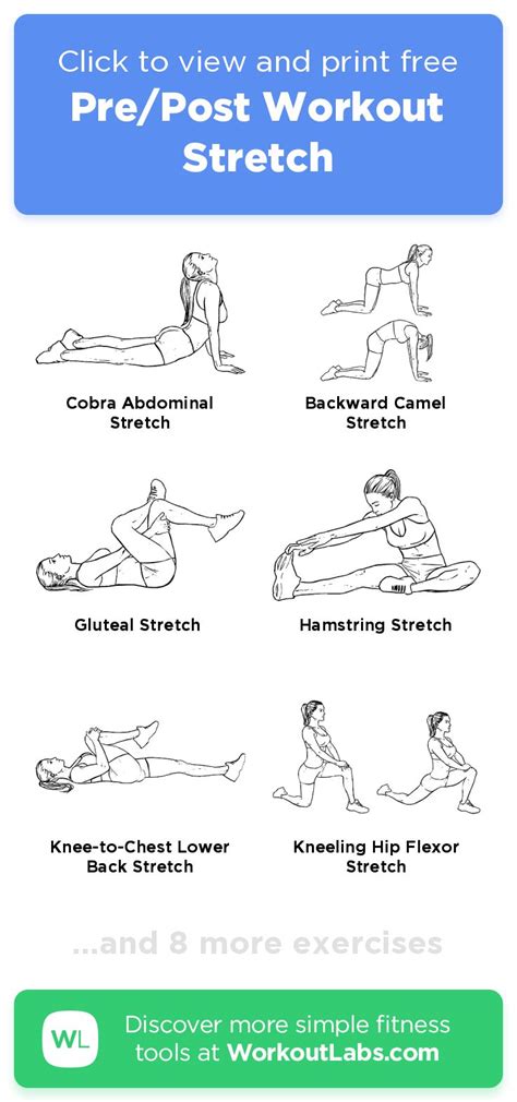 Prepost Workout Stretch Click To View And Print This Illustrated