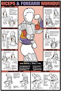 Muscle building, fat loss, strength, abs, women's, fitness and more. Amazon.com : Biceps & Forearm Workout 24" X 36" Laminated ...