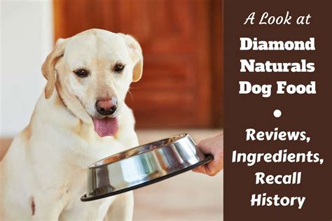 Diamond dog food and diamond naturals dog food diamond puppy food made in the usa only including dha from salmon oil for brain and vision development. Diamond Naturals Dog Food Reviews, Ingredients, Recall ...