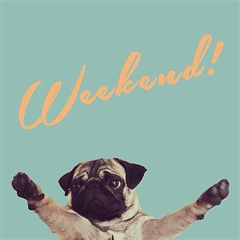 Yay The Weekend Is Here Hd Walls Find Wallpapers