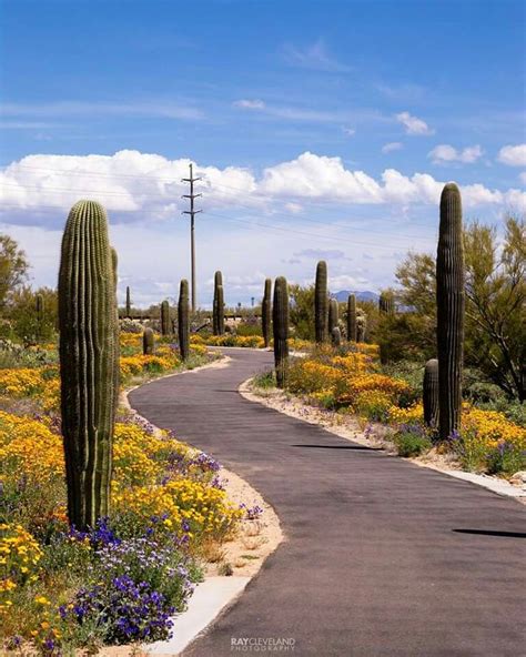 Pin By Betty Wendhausen On Arizona Country Roads Arizona Road