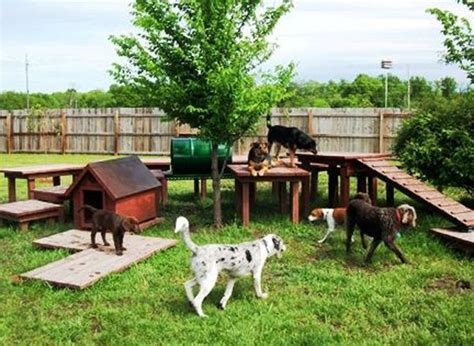 Pin By Noumdg On The Boys Dog Playground Pet Friendly Backyard Diy