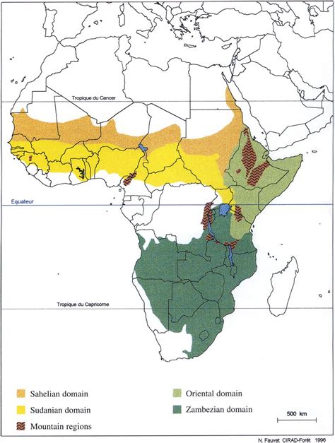 African Savanna Grassland Map Pets Lovers