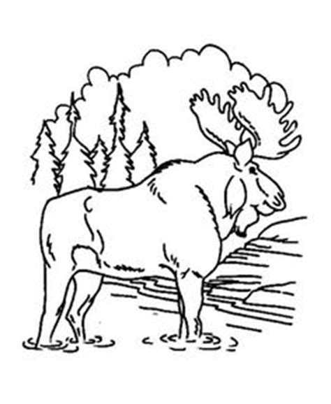 In the next 30 minutes, this seed will gradually grow into a tree. forest fire coloring pages - Google Search | Johns ...