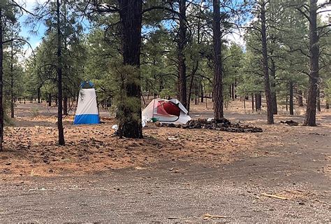 missing oregon woman found dead in woods near flagstaff navajo hopi observer navajo and hopi