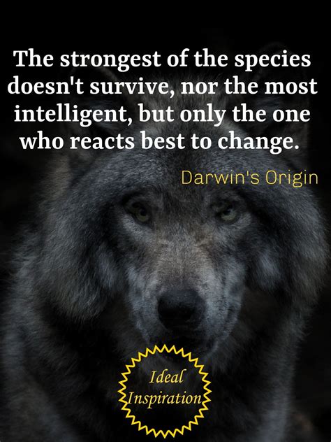 The Strongest Of The Species Doesnt Survive Nor The Most Intelligent