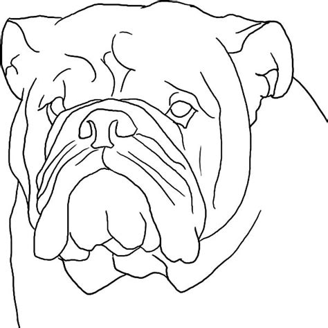 Boxer Dog Head Outline Coloring Pages Best Place To Color