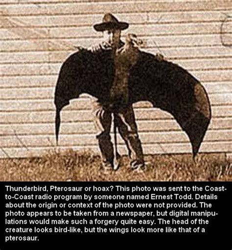 Thunderbird Photo Cryptozoology Myths And Legends Unexplained