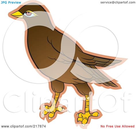 Royalty Free Rf Clipart Illustration Of A Maina Bird 1 By Lal
