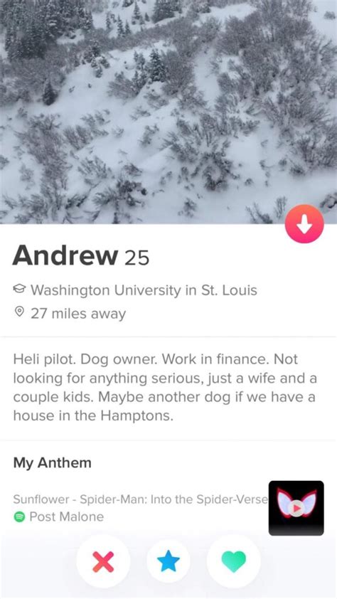 Tinder Bio Profile For Guys Best Tinder Bio Examples Funchannel