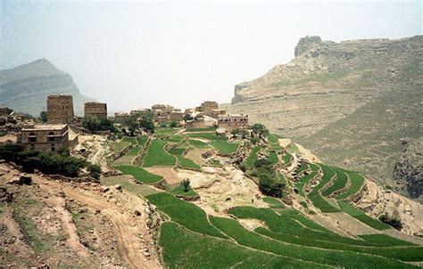 Agricultural Terraces Near At Tawilah Yemen Photo