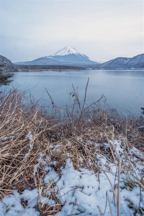 Lake Saiko Fuji Five Lakemountain Fuji With Snow In Winter Season